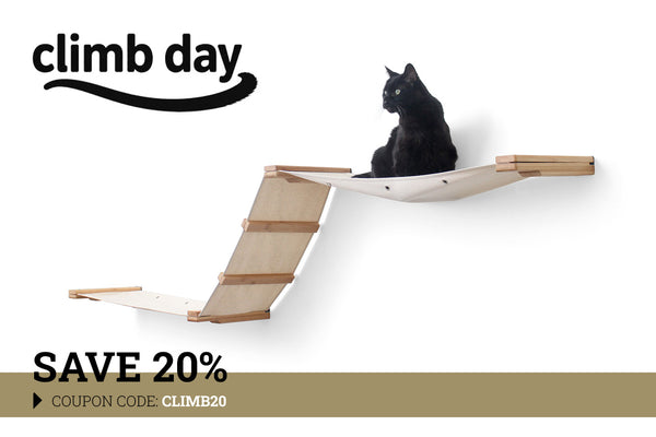 cat laying on hammock with 20% off text