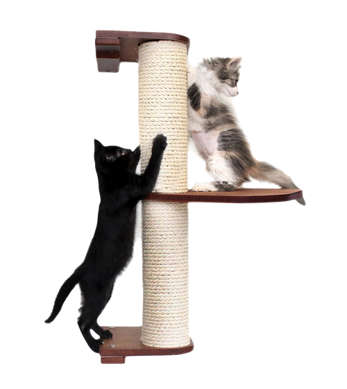 two kittens scratching a scratching pole 