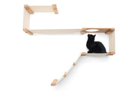 Cat on The Play Cat Condo