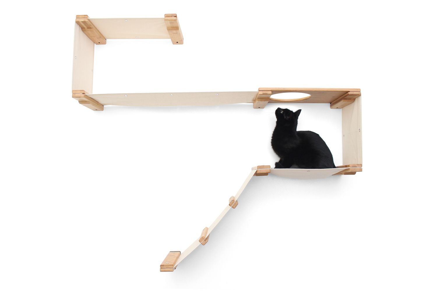 Cat on The Play Cat Condo