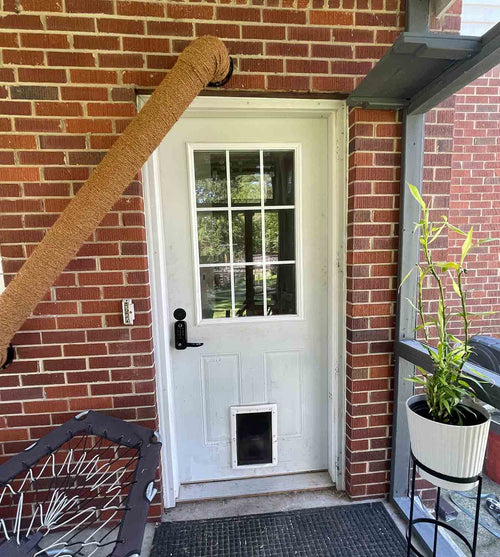 White door with a pet door on a brick wall
