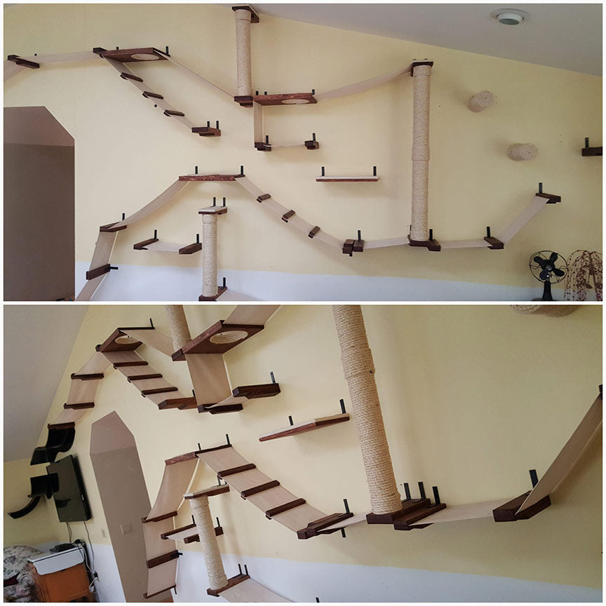 intricate cat wall layout
