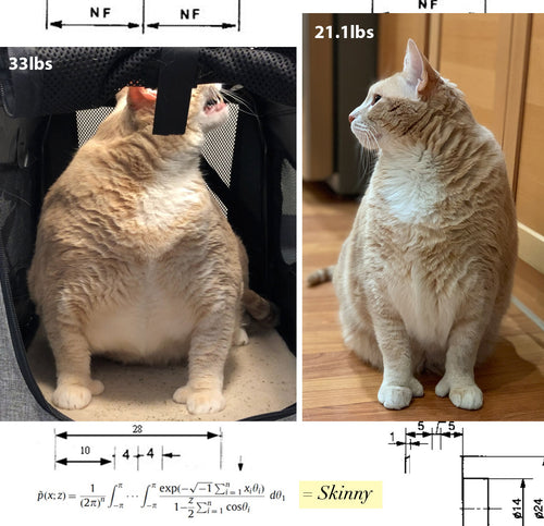 overweight bronson next to a weightloss bronson