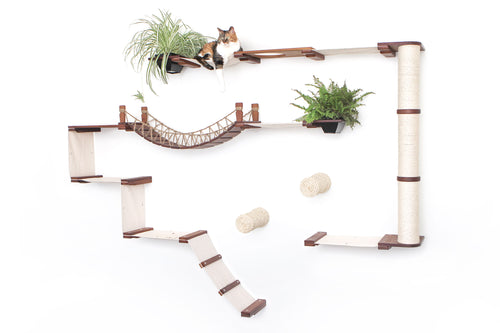 relaxed cat on a cat condo