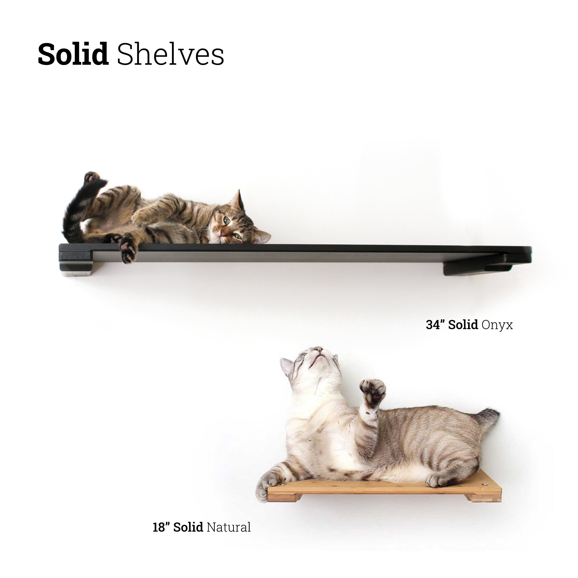 cats enjoying a 34" and 18" wall mounted cat shelf 