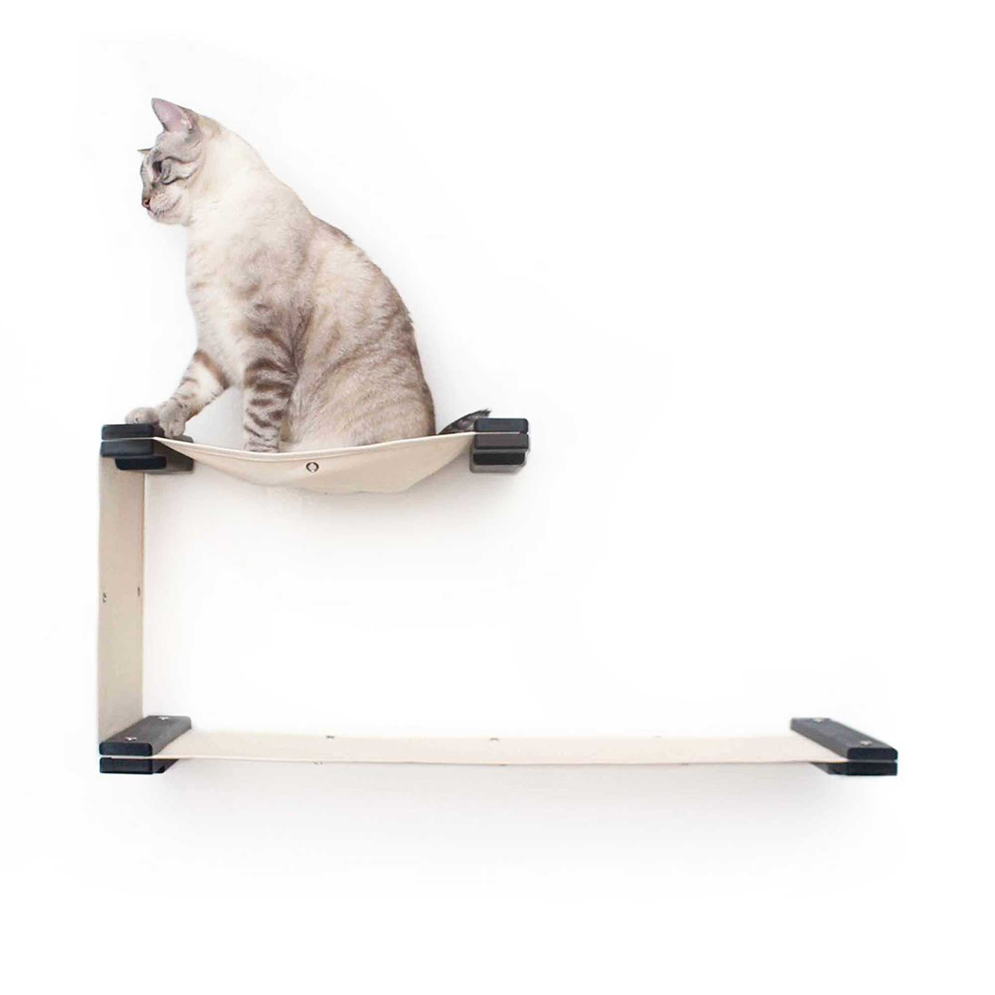 Cat sitting on a Double Decker Hammock