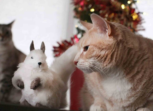 Cat looking at a decorative squirrel with festive garlands hanging in the background