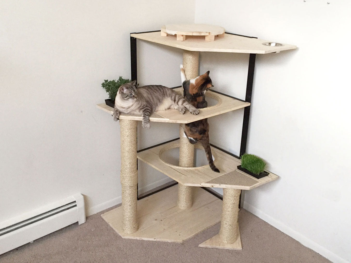 cat tree feeding station