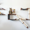 How to Build the Best Cat Playground & Jungle Gym