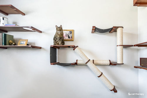 Cat sitting on a Wall Mounted Cat Tree in a beautifully decorated room.