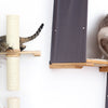 Cat Wall Climber Guide - How to Make a Cat Climbing Wall Your Cat Will Love
