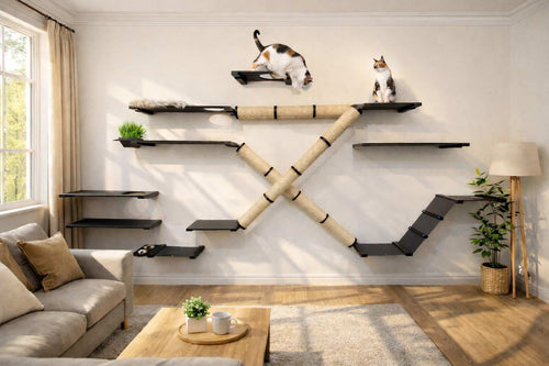 The Importance of Vertical Space for Cats & How to Create It In Your House