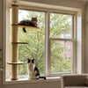 Building an Adjustable Floor to Ceiling Cat Tree for Your Wall & Why It’s Important