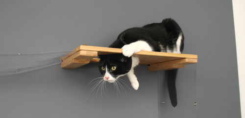 7 Cat Furniture Ideas to Make Your Cat Happy