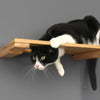 7 Cat Furniture Ideas to Make Your Cat Happy