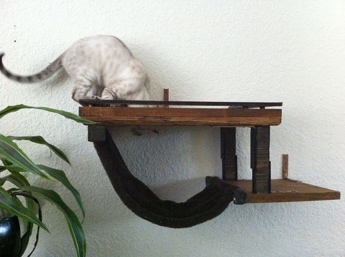 cat on custom cat shelf