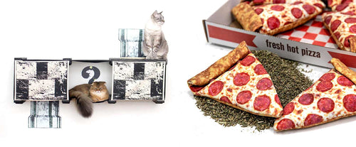 19 of the Best Cat Dad Gifts for Any Budget