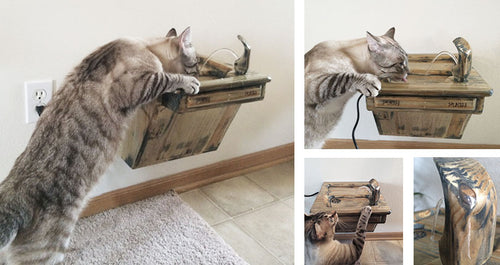 Wooden Cat Drinking Fountain