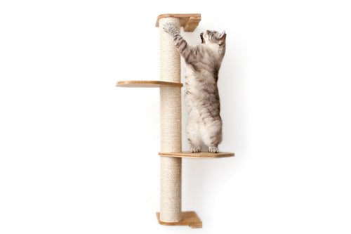 cat enjoying vertical sisal pole as a tool of cat enrichment.