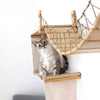 Building Your Cat Obstacle Course (& DIY Cat Wall Playground Ideas to Try!)