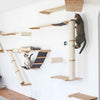Cat Wall Design & DIY Cat Wall Ideas