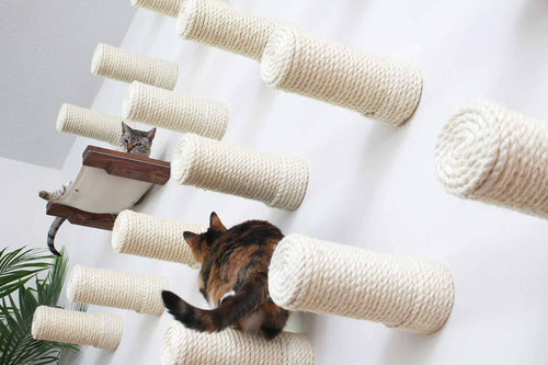 Cat Wall Shelves vs Cat Trees vs Cat Towers: What’s the Difference and Which Is Best?