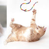 Best Cat Toys of 2025: Reviewed & Graded by Experts!