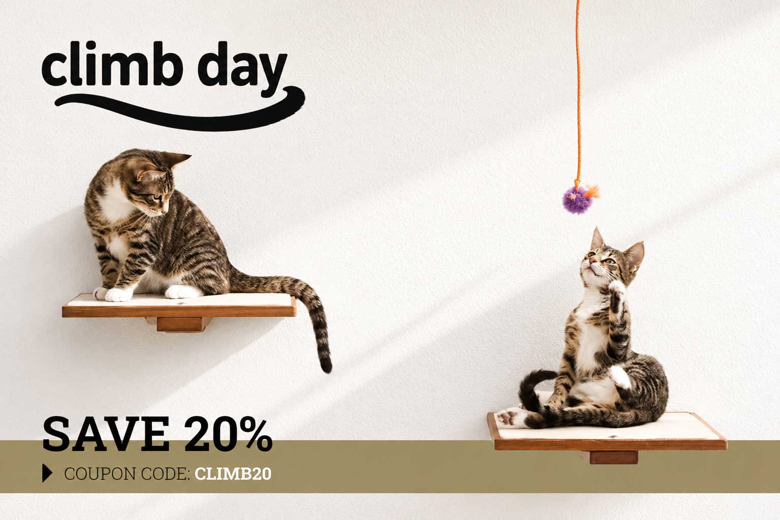 Two cats on cat shelves with a 'climb day' advertisement and discount offer.