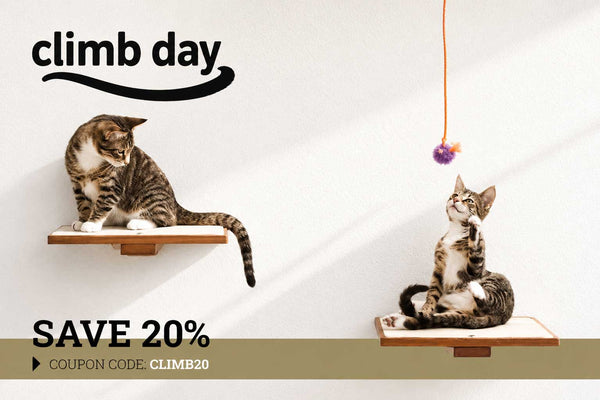 Two cats on cat shelves with a 'climb day' advertisement and discount offer.
