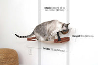Cat using a small platform with measurements labeled