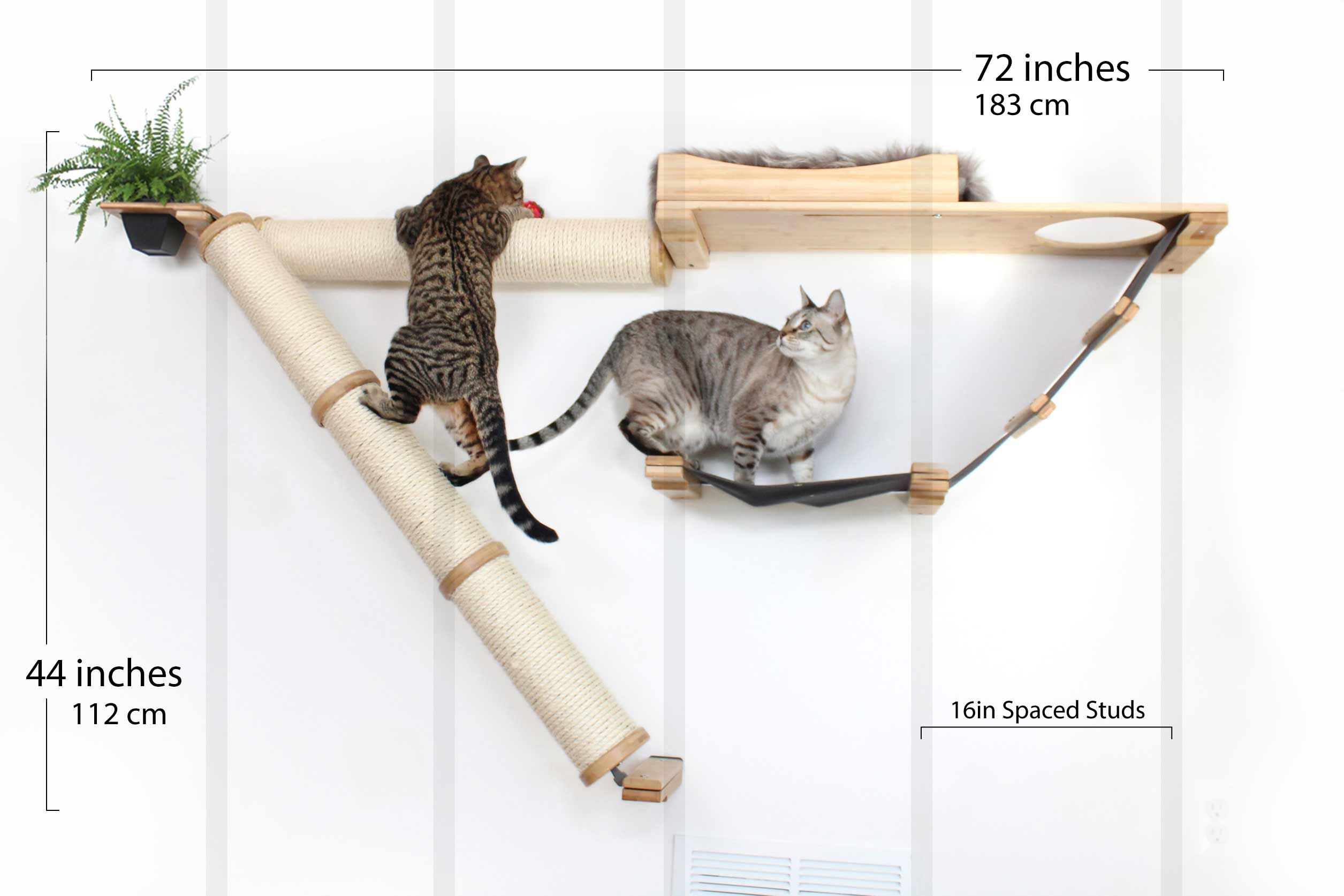 Wall-mounted cat shelf with two cats on a white background, showing dimensions.