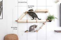 Cat climbing on a wall-mounted cat shelf with measurements indicated