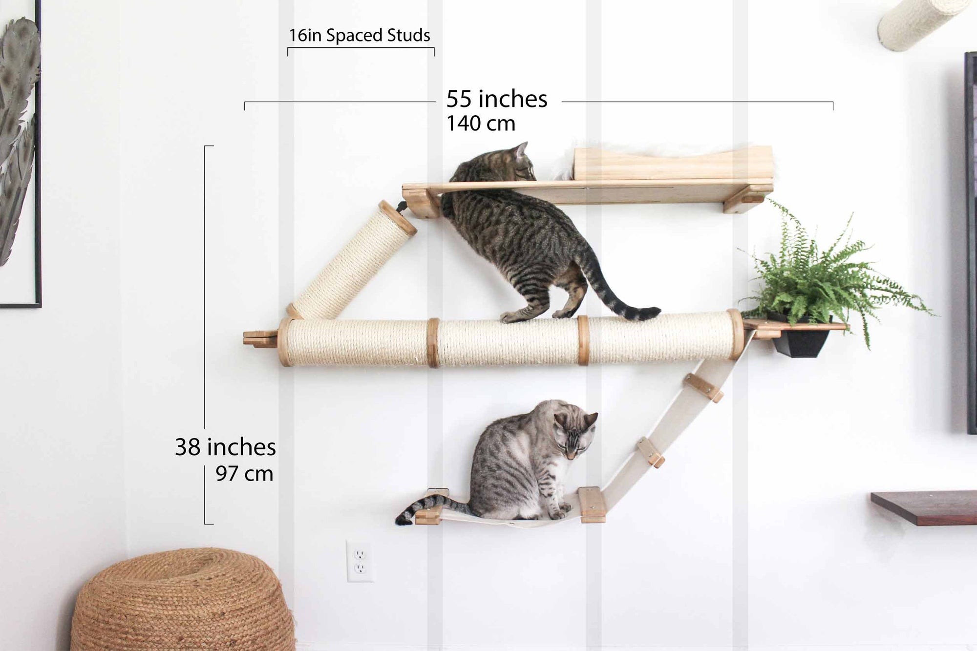 Cat climbing on a wall-mounted cat shelf with measurements indicated