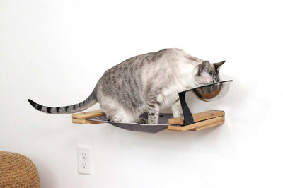 Cat using a wall-mounted cat shelf with a hanging cat bed.