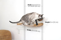Cat on a wall-mounted natural cat hammock with measurements labeled