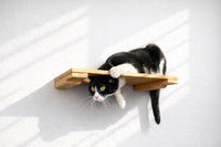 Black and white cat on a wooden shelf against a white background