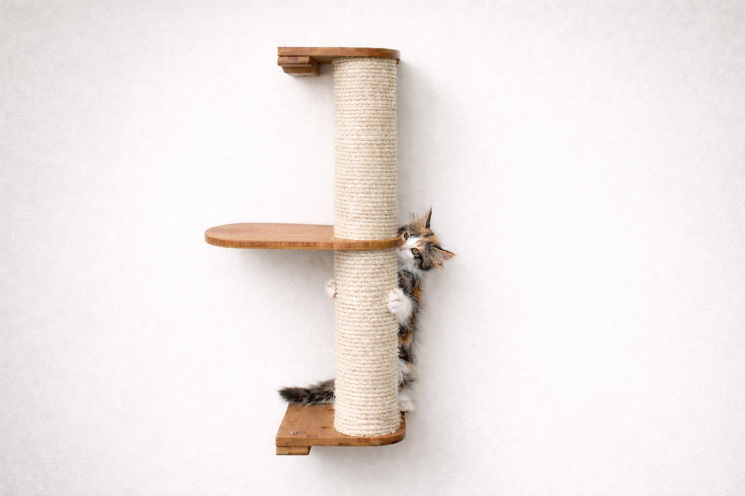 Cat climbing a wooden scratching post against a white wall
