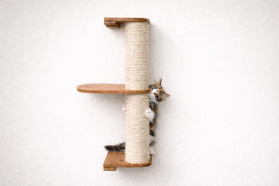 Cat climbing a wooden scratching post against a white wall