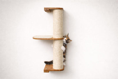 Cat climbing a wooden scratching post against a white wall