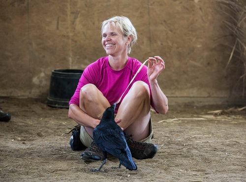 animal behaviorist posed with crow