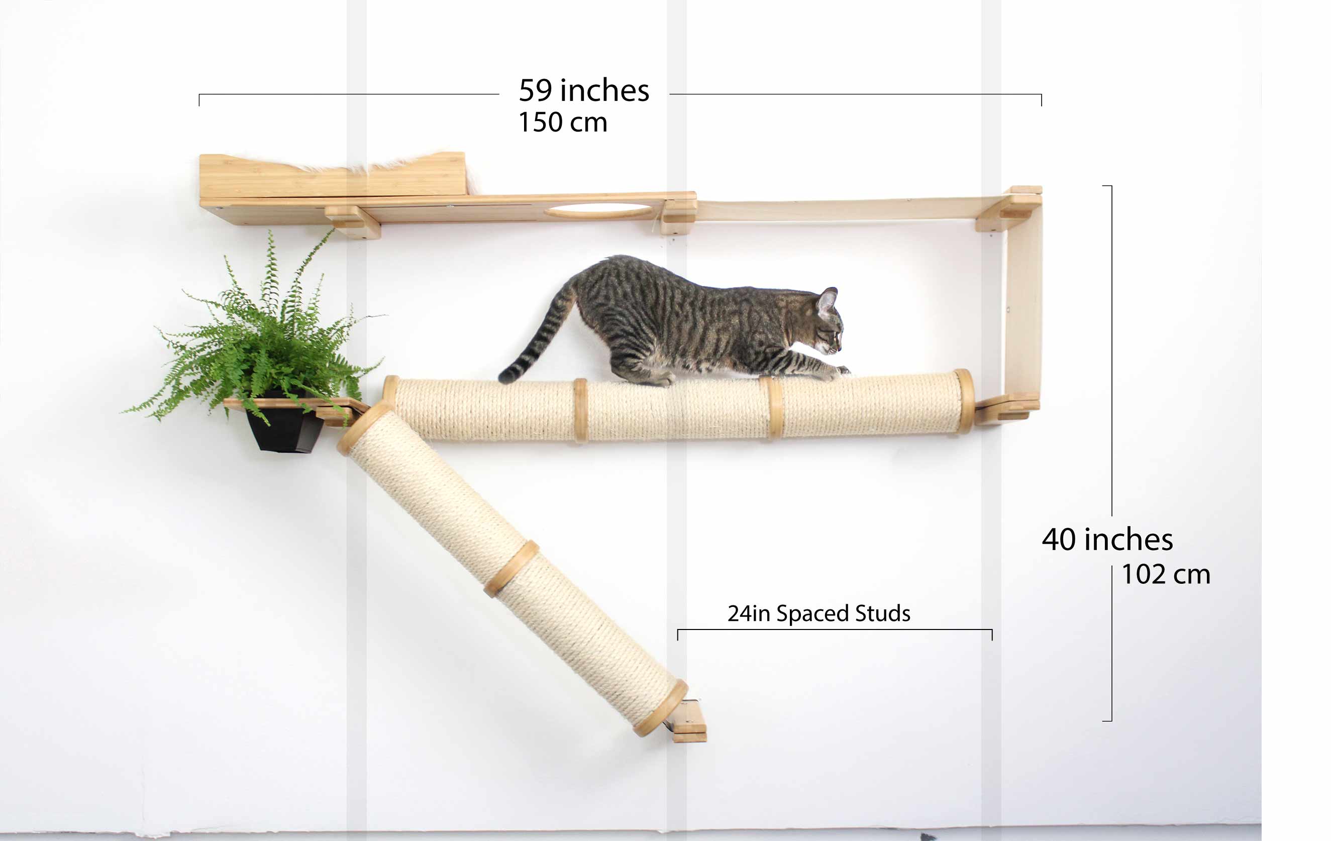 Cat climbing shelf with dimensions labeled on a white background