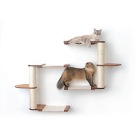 Cats on Catacombs Cat Condo