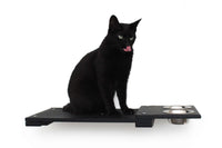 Cat on 25 Inch Feeder Shelf in Onyx bamboo