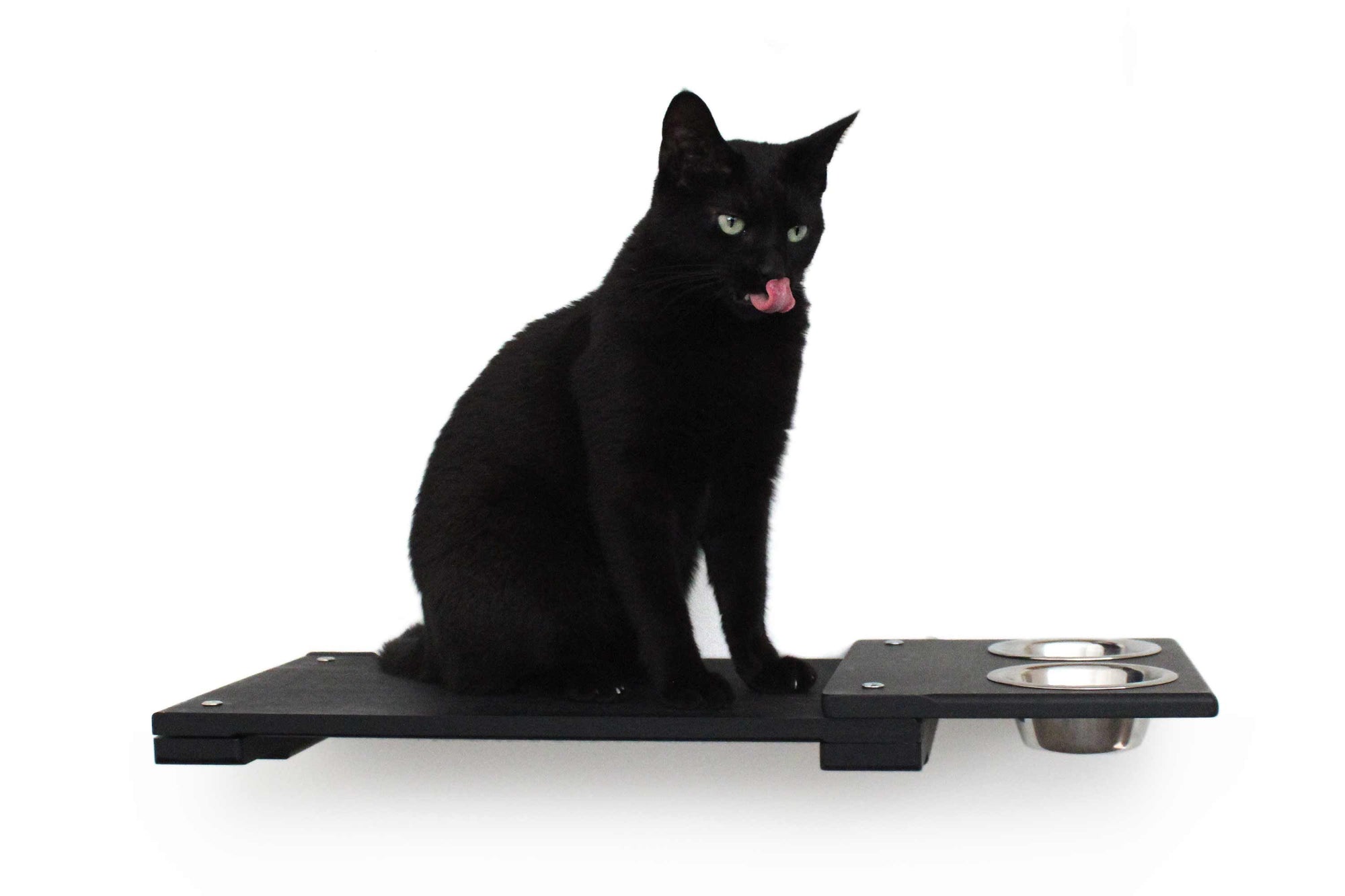 Cat on 25 Inch Feeder Shelf in Onyx bamboo