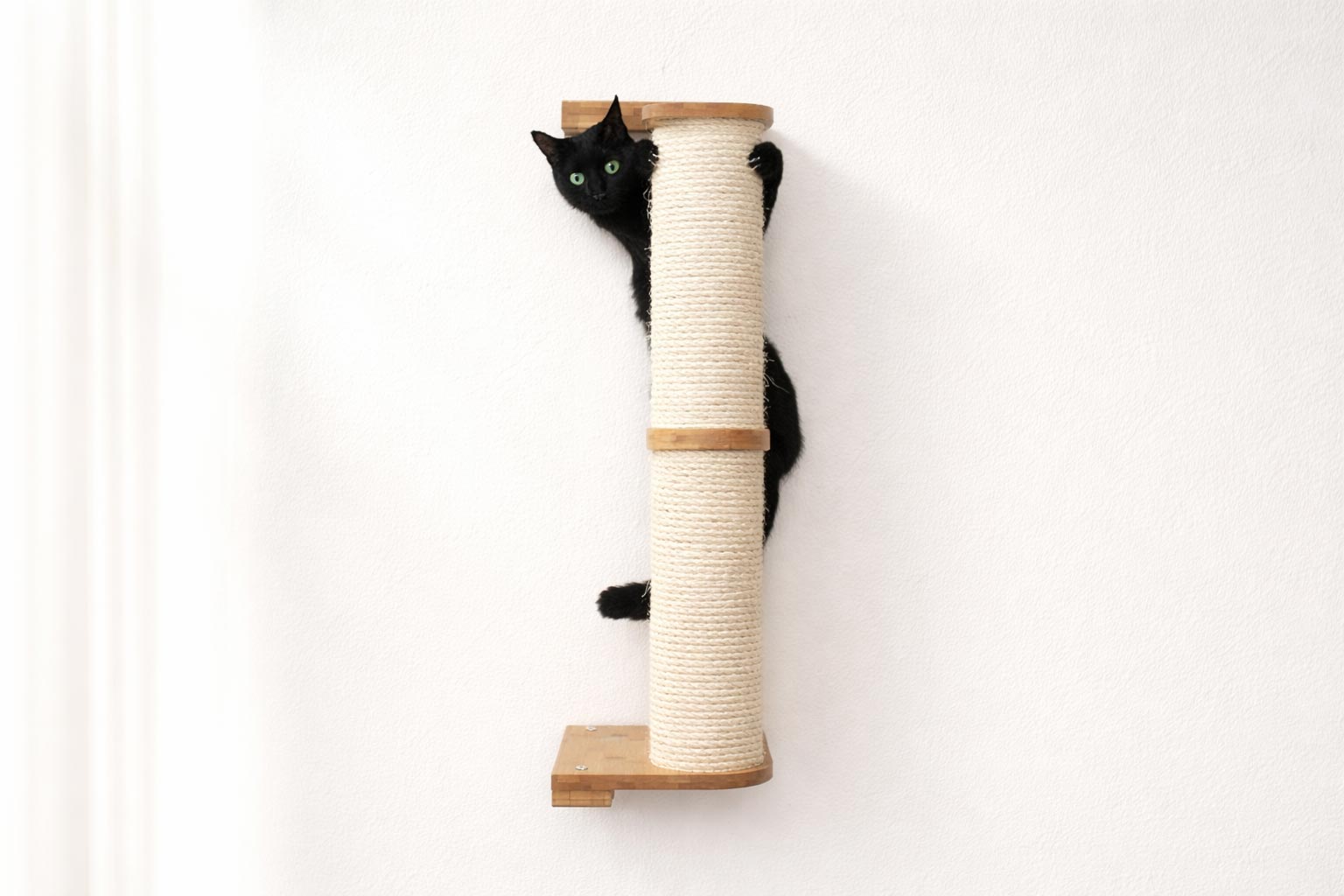 Black cat climbing a wall-mounted cat scratcher on a white background