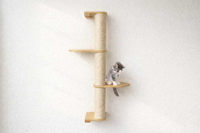 Cat climbing a wall-mounted cat tree on a white background