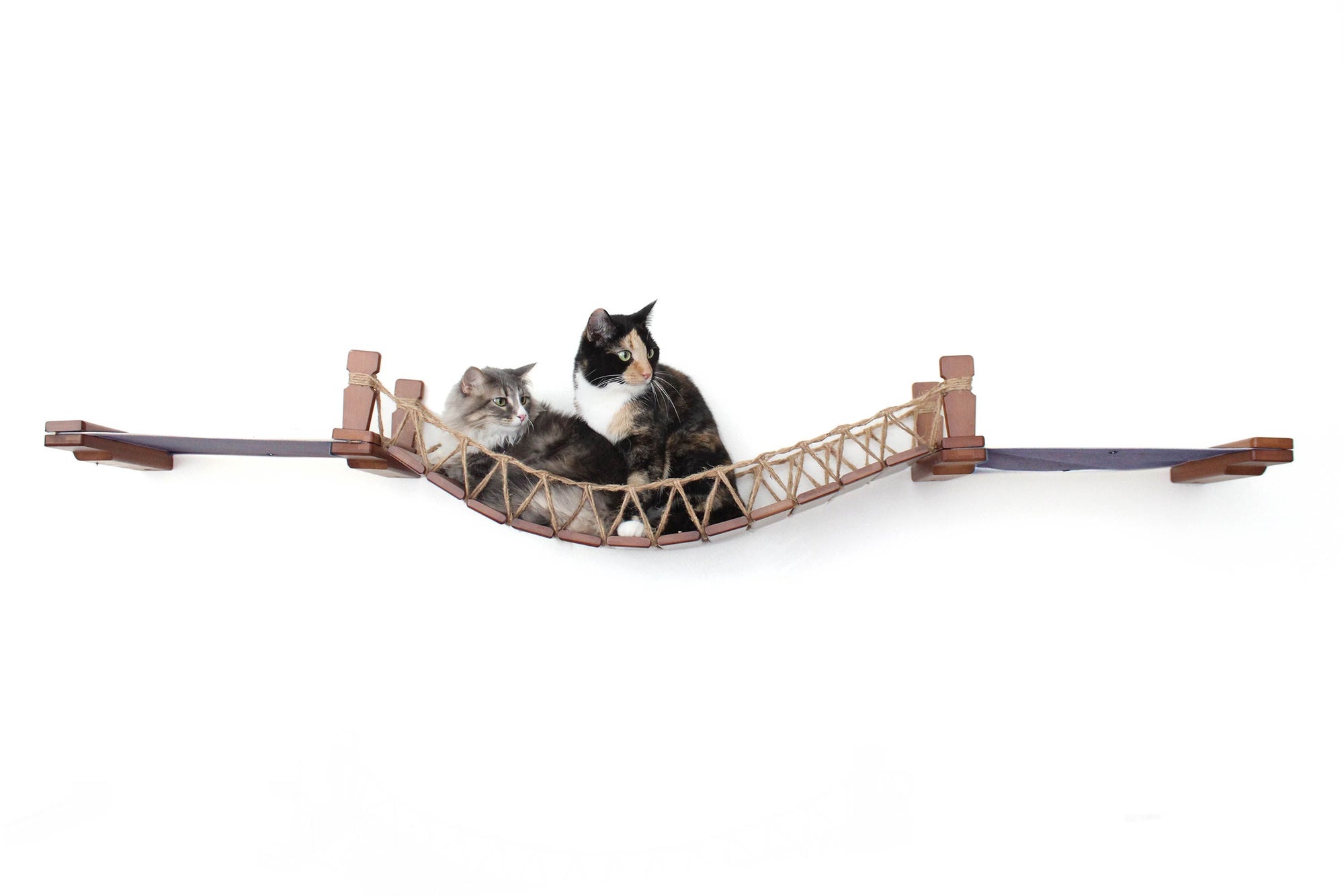 Cats on Bridge Lounge