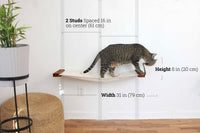 Cat using a wall-mounted cat shelf with measurements indicated