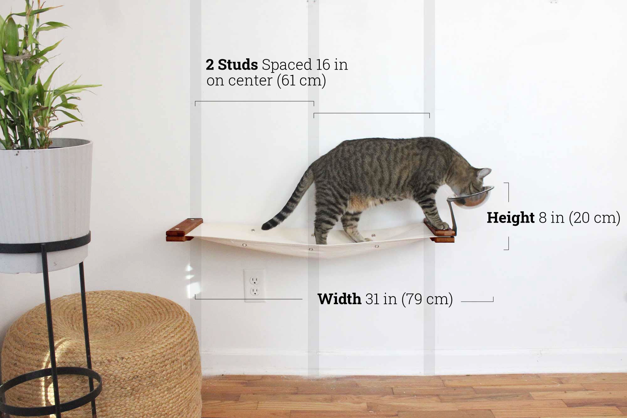 Cat using a wall-mounted cat shelf with measurements indicated