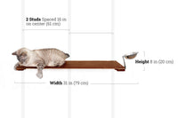 Cat on a wooden shelf with measurements labeled